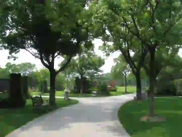AI-genereret solbeskinnet central parkscene med smaragdgrønne græsplæner og frodige træer.